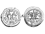Half Shekel, copper, of Simon. Left: two thickly leaved branches, with a citron, &`;in the fourth year, one half&`;. Right: &`;Redemption of Zion&`;, palm tree between two baskets of dates.